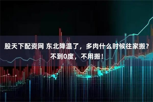 股天下配资网 东北降温了，多肉什么时候往家搬？不到0度，不用搬！